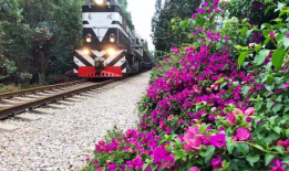 火车短视频,短视频带你领略火车之美