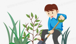 种树的漫画,植树造林，绿色家园的守护者